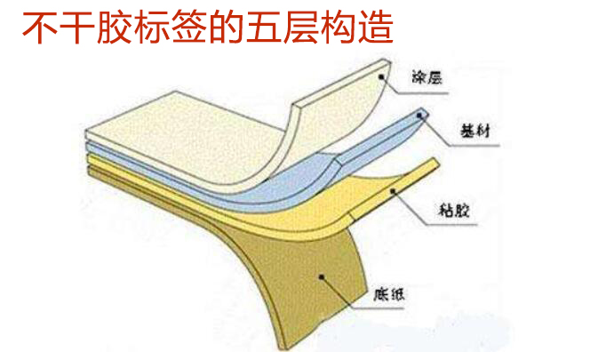 不干胶标签的五层构造